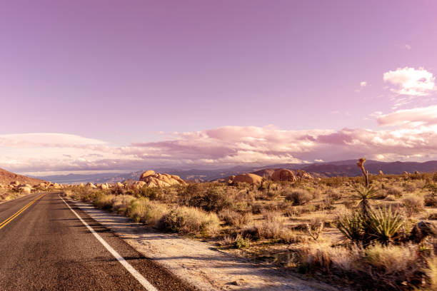 istock Sunset in desert with empty road and yucca trees on roadside. 1153903214