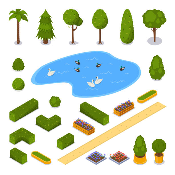 도시 공원 3d 등각 투영 아이콘입니다. 벡터 조 경 디자인 요소입니다. 녹색 정원 나무, 연못과 화분, 고립 된 - natural pool illustrations stock illustrations