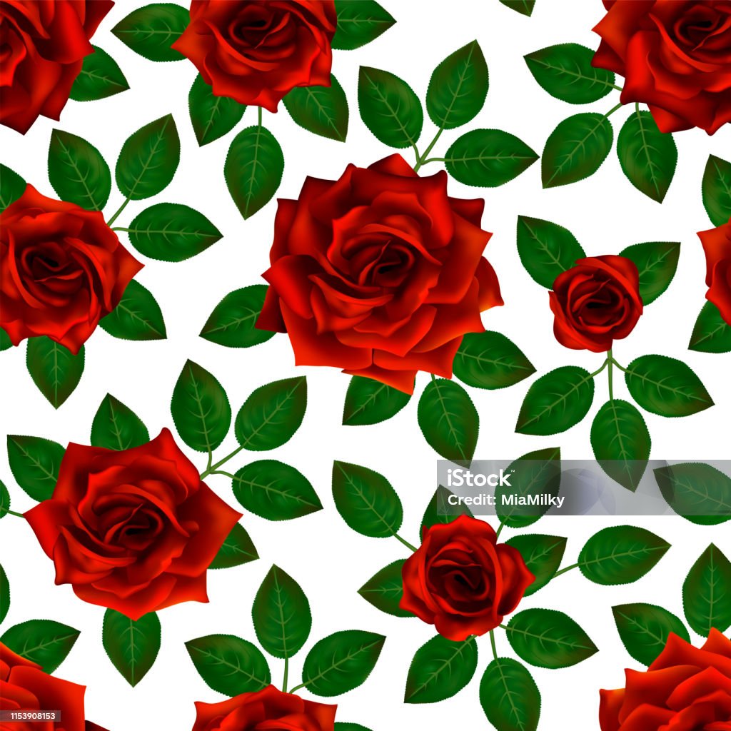 Hoa Văn Liền Mạch Với Hoa Hồng Đỏ Những Bông Hoa Đẹp Thực Tế Với ...