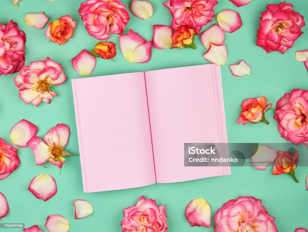 Pink Notebook Design Open Open Notebook With Pink Blank Pages Stock Photo - Download Image Now ...