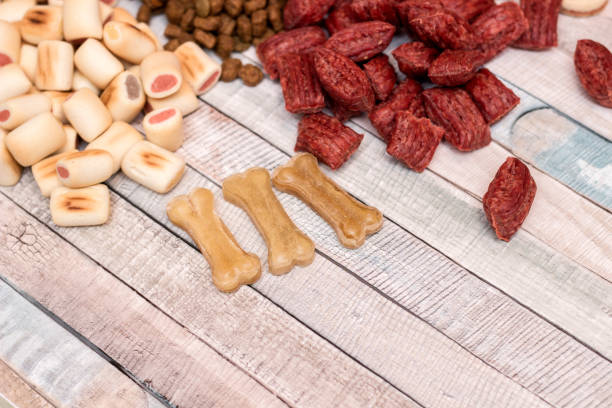 istock Pet food, snacks for dogs 1153916717