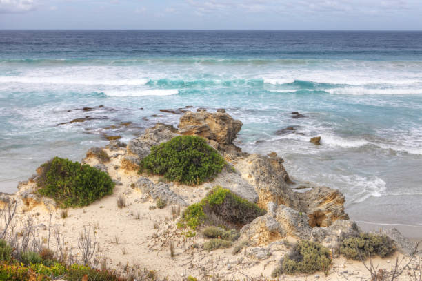 istock Shoreline in Cape Willoughby, Kangaroo Island, Australia 1153916787