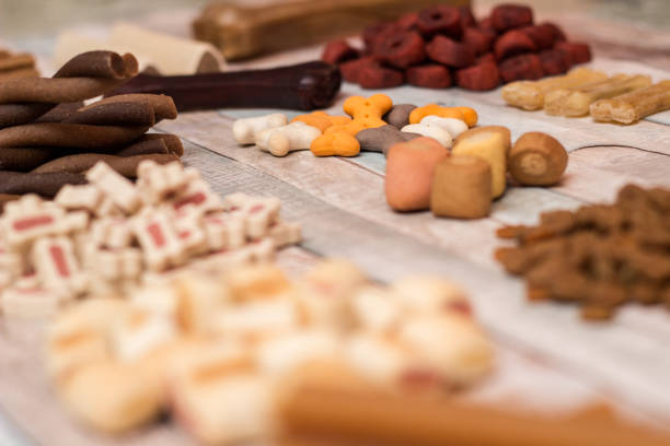 istock Pet food, snacks for dogs 1153917220