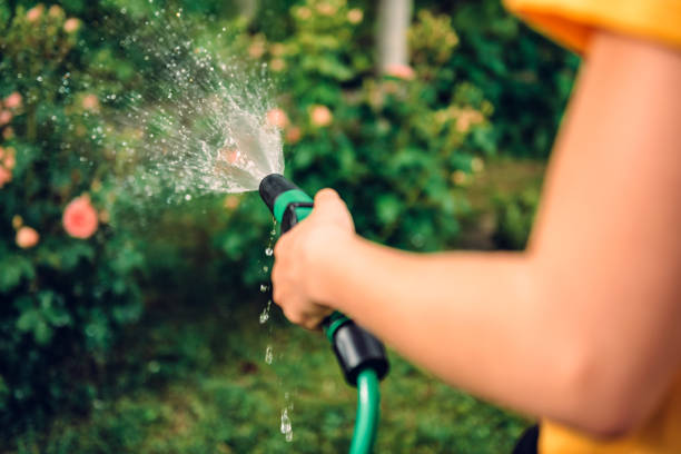 istock Watering garden with hose sprinkler 1153917795