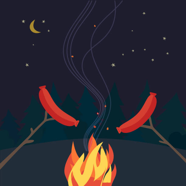 ilustrações de stock, clip art, desenhos animados e ícones de camp site night picnic party flat color icon - camping campfire boy scout girl scout