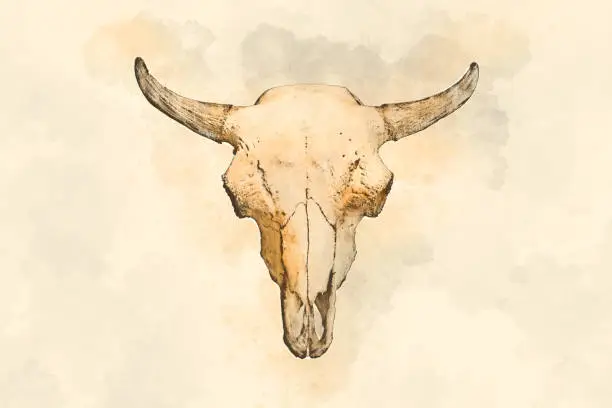 Photo of Watercolor drawing of a bull's head on a light background