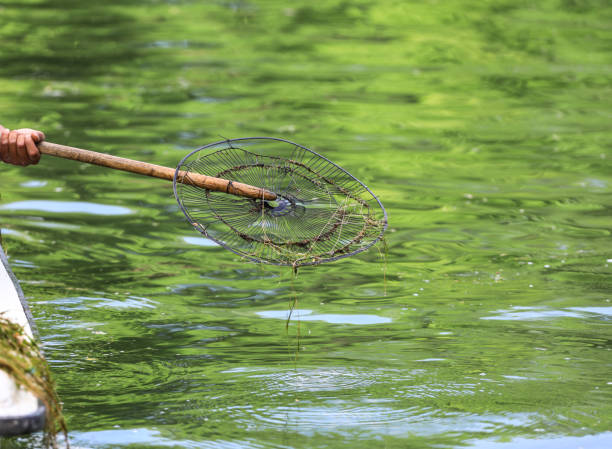 istock worker clean the lake water 1153919242