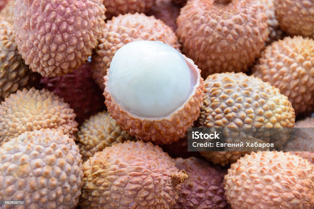 Lychee Is The Sole Member Of The Genus Litchi In The Soapberry Family  Sapindaceae Ripe Lychee Without Shell Stock Photo - Download Image Now -  iStock