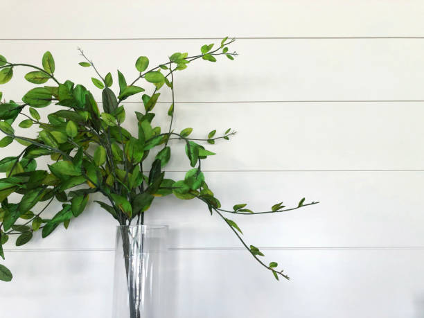 plant shiplap muur - vase texture stockfoto's en -beelden
