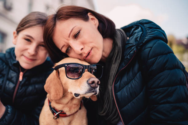 istock Dog wearing sunglasses with his affectionate owners 1153922154