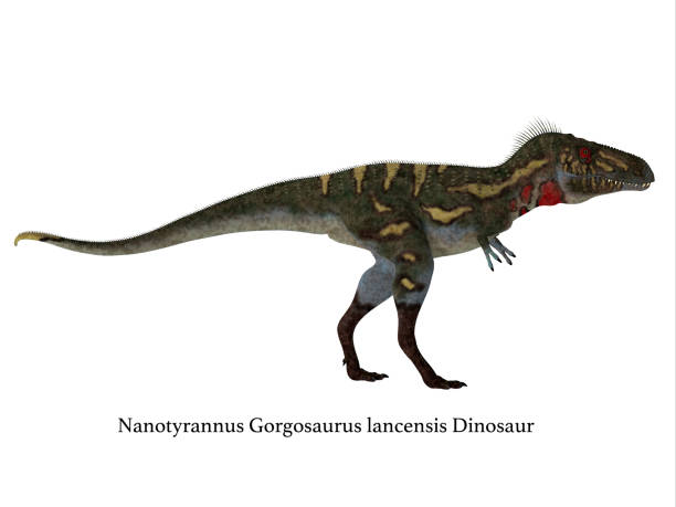 istock Nanotyrannus Dinosaur Side Profile with Font 1153922459