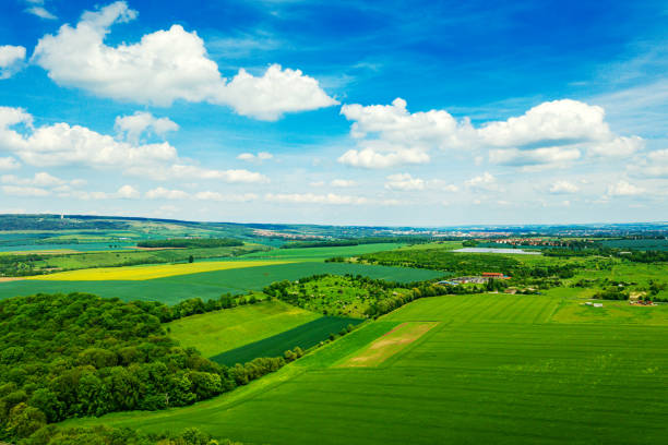 High angle view of canola fields and green fields