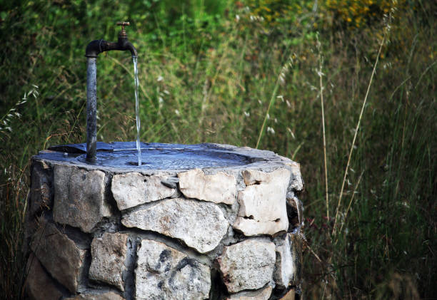 istock Old well with a crane in the forest 1153925843