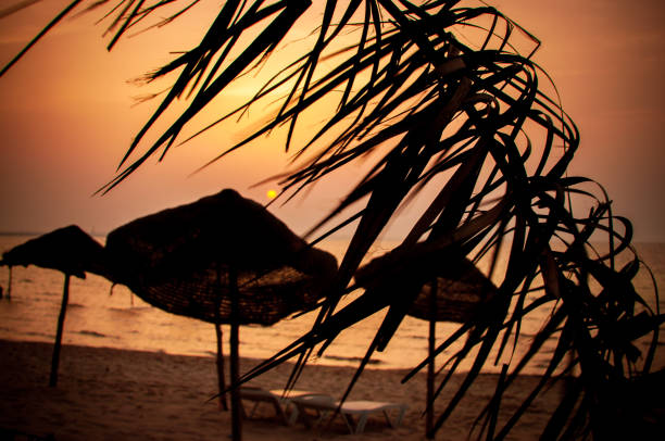 Mediterranean sea, beach umbrellas, sunset.