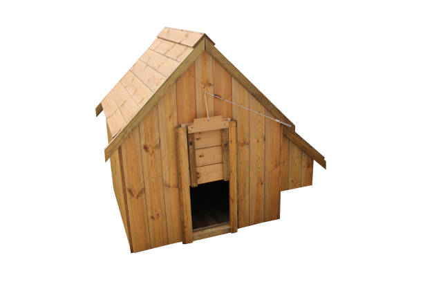 istock Wooden Chicken House. 1153929791