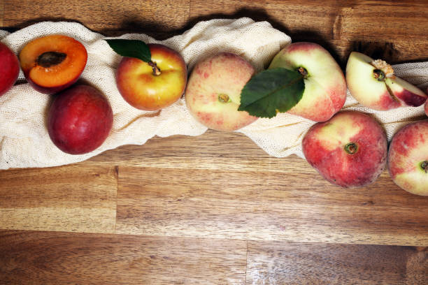 Different, fresh and tasty fruits in beautiful dishes