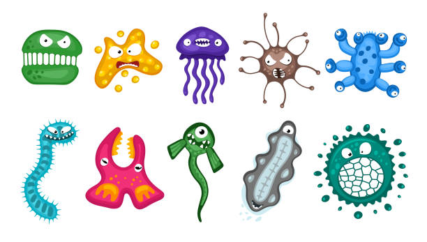 verschiedene mikroorganismen virus-vektor-kontoon-bakterien keim-emoticon-zeichensatz. bakterielle infektion der infektion mikrobiologisch illustration. mikrobe organismus-emotionen isoliert auf weißem hintergrund - bacterium e coli pathogen micro organism stock-grafiken, -clipart, -cartoons und -symbole