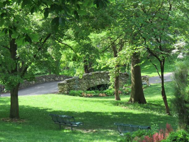 istock wooded park, path, stone bridge, copy space, background 1153938780