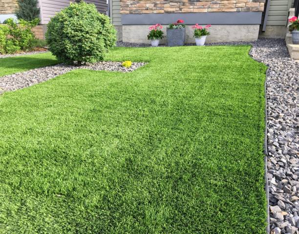 istock A beautiful artificial lawn in the front yard with nice flowers and shrubs surrounding it 1153945714