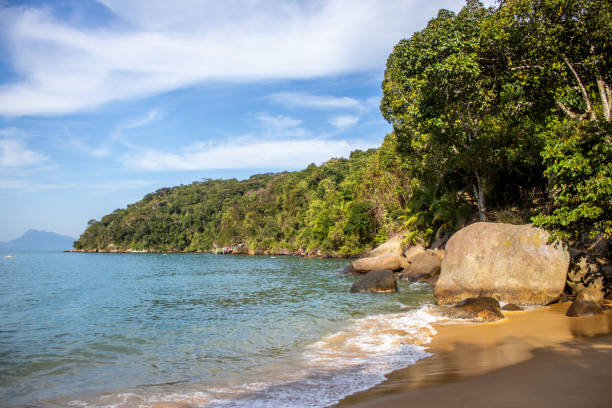 istock Beach with rocks and mountain-Rio de Janeiro-Brazil 1153950974