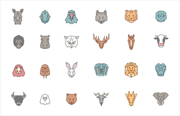 illustrations, cliparts, dessins animés et icônes de lot de 24 têtes d’animaux. collection d’icônes de zoo vectoriel en style géométrique tribal et tendance couleur ensemble. dessins d’animaux exotiques, sauvages et domestiques dans le style de contour rempli - animal head illustrations