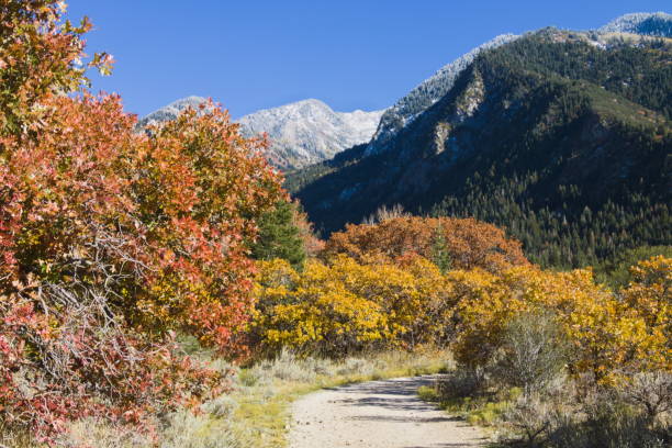 istock Hiking trail at Bells Canyon 1153958017