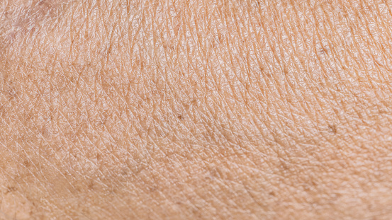 texture and wrinkled detail of old human skin in close-up macro shot