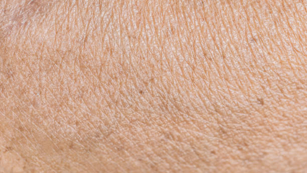 texture wrinkled of old human skin texture and wrinkled detail of old human skin in close-up macro shot rough hands man stock pictures, royalty-free photos & images