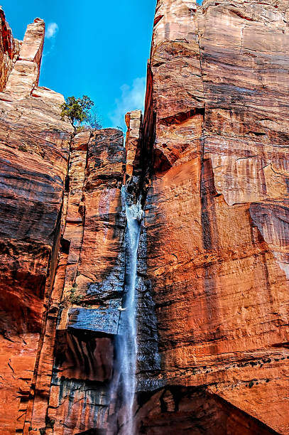 istock Zion National Park in Utah 1153973557
