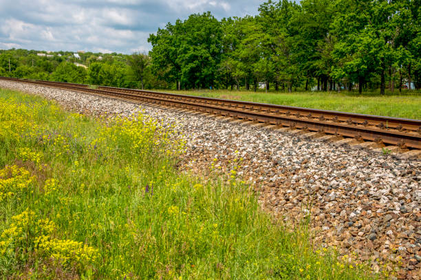 istock Summer landscape with railway, trees and wildflowers 1153976021