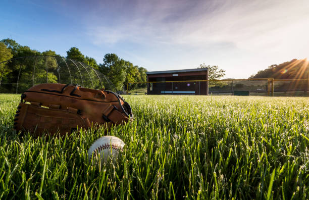 Close up of dirty baseball on grass field with palm trees in background