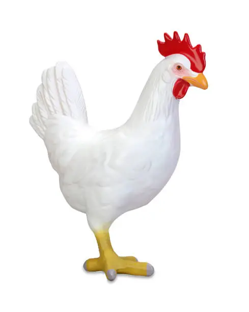 Photo of chicken