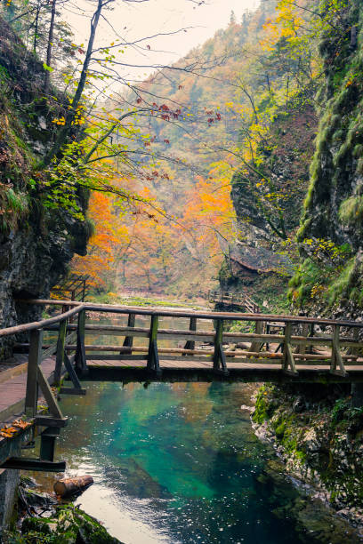 istock Vintgar Gorge (Soteska Vintgar)Bled Slovenia 1153980280