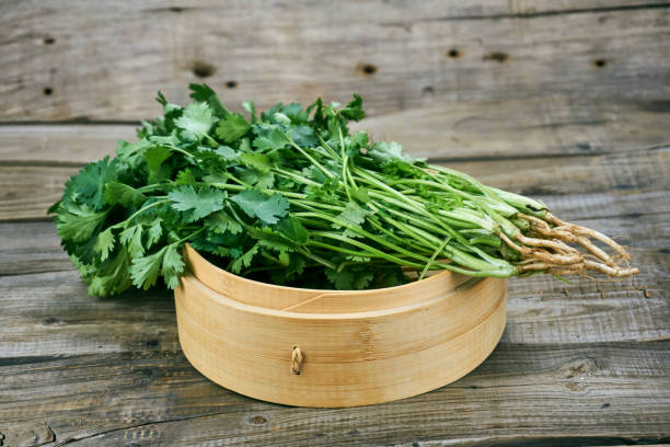 istock Coriander    isolated on wood background. 1153982889