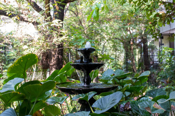 istock green,garden,nature 1153983583