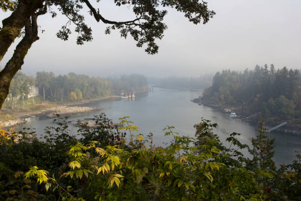 Morning fog over Willamette River stock photo