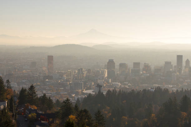 istock Portland Oregon Skyline at Dawn 1153983944