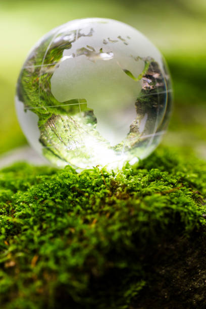 istock Globe On Mossy Rock In The Forest 1153985802