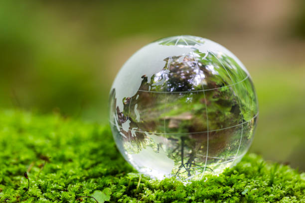 Globe On Mossy Rock In The Forest