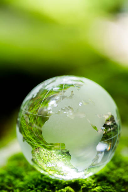 istock Globe On Mossy Rock In The Forest 1153985813