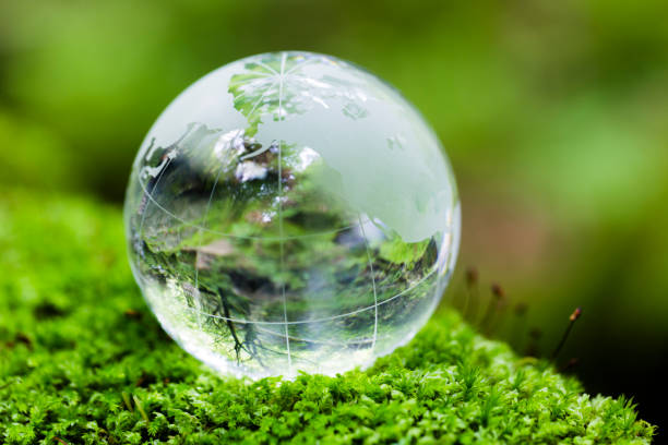 istock Globe On Mossy Rock In The Forest 1153985815