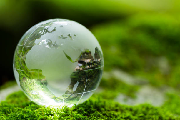 istock Globe On Mossy Rock In The Forest 1153985816