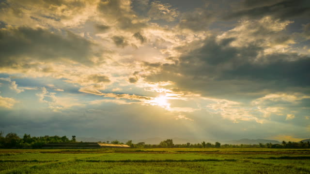 field and clouds with sunrays 4K time lapse