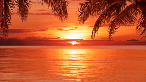 istock Beautiful sunrise over the tropical sea 1153988873