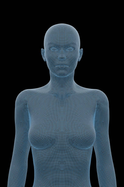 istock Human Body, Female, Woman 1153993653