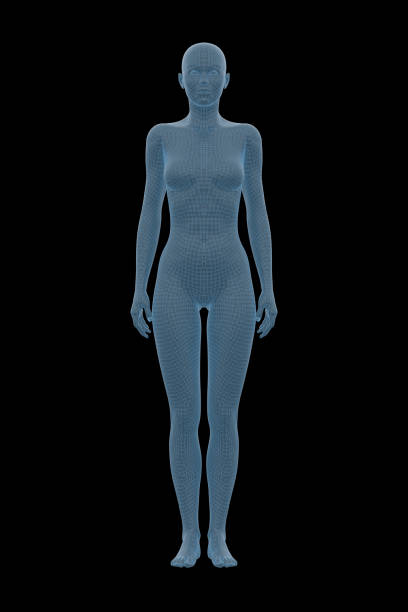istock Human Body, Female, Woman 1153993661