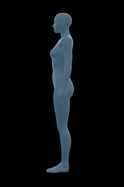 istock Human Body, Female, Woman 1153993672