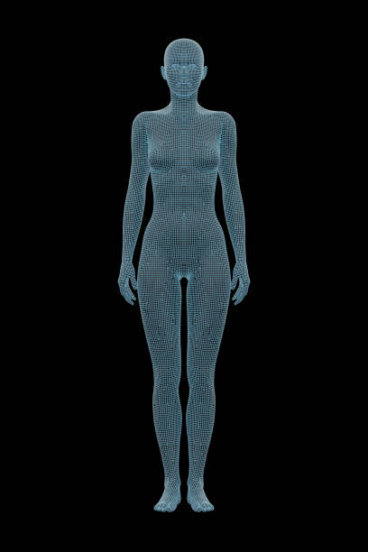 istock Human Body, Female, Woman 1153993694