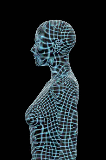 istock Human Body, Female, Woman 1153993699
