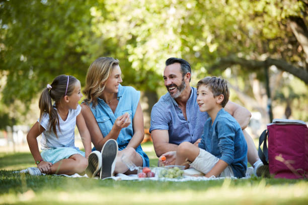 istock Weekends were made for picnics in the park 1153993840